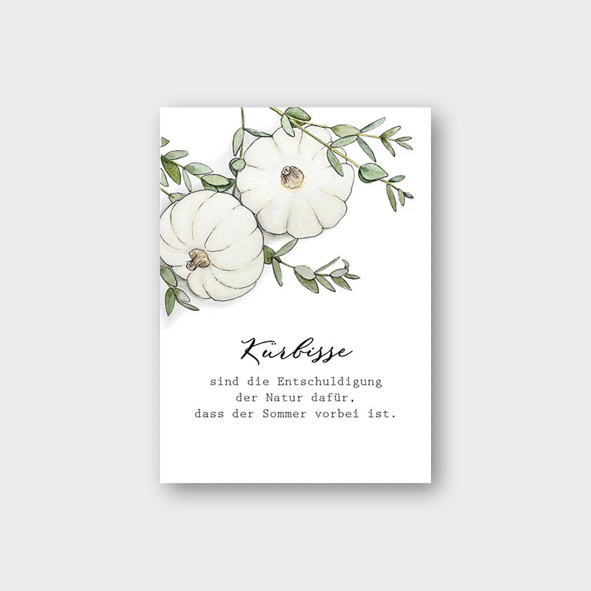 Postkarte KÜRBISSE