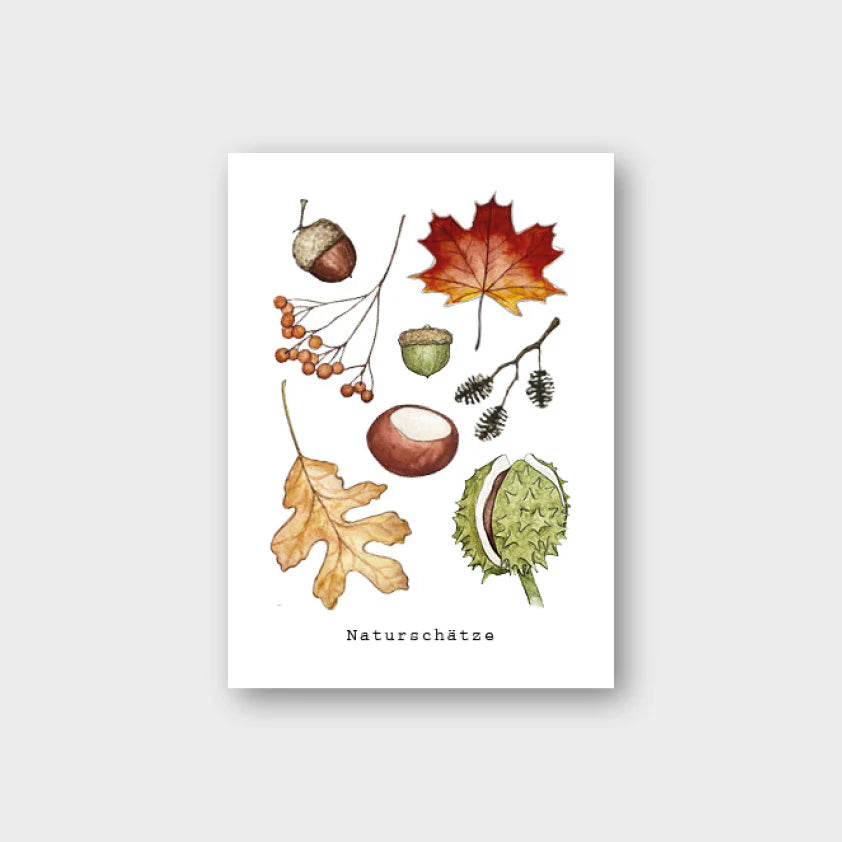 Postkarte NATURSCHÄTZE
