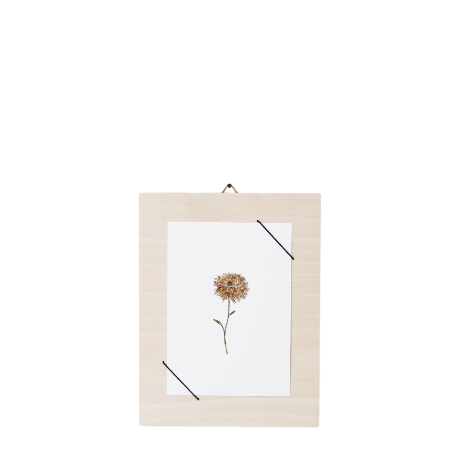 Postkarte CHRYSANTHEMA