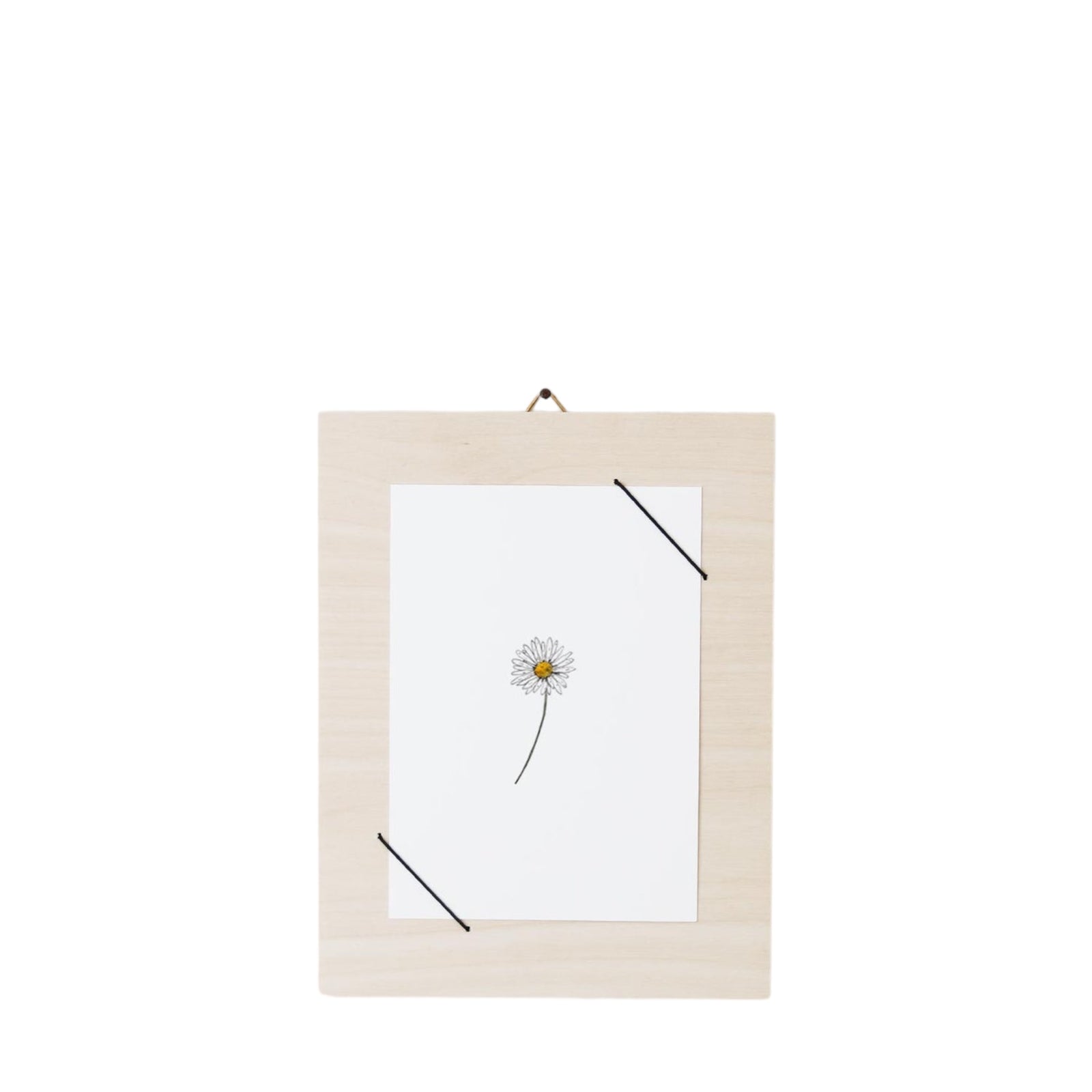 Postkarte GÄNSEBLÜMCHEN