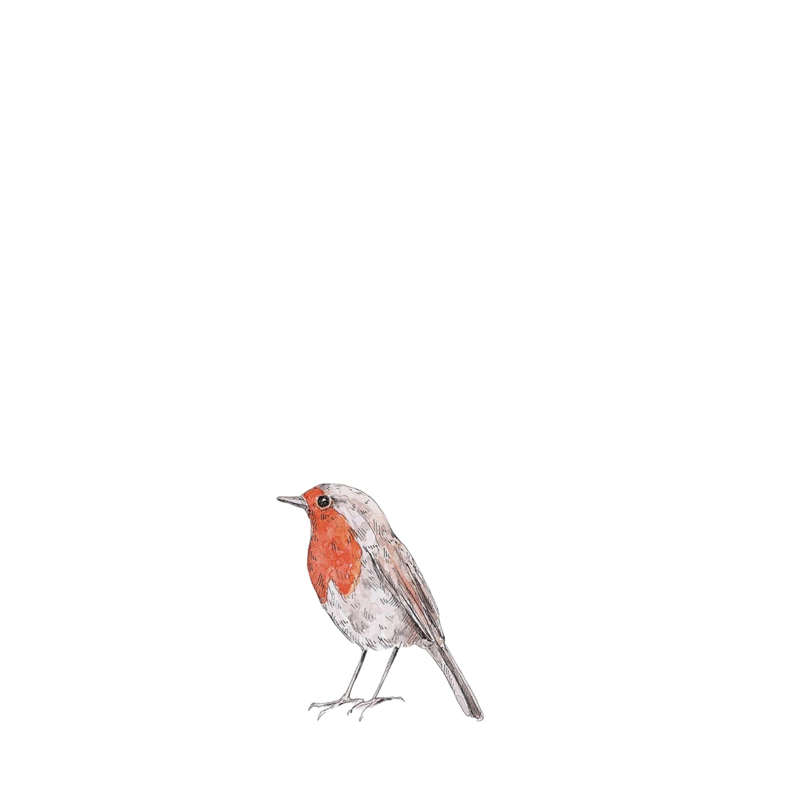 Wandsticker ROBIN | Farbig