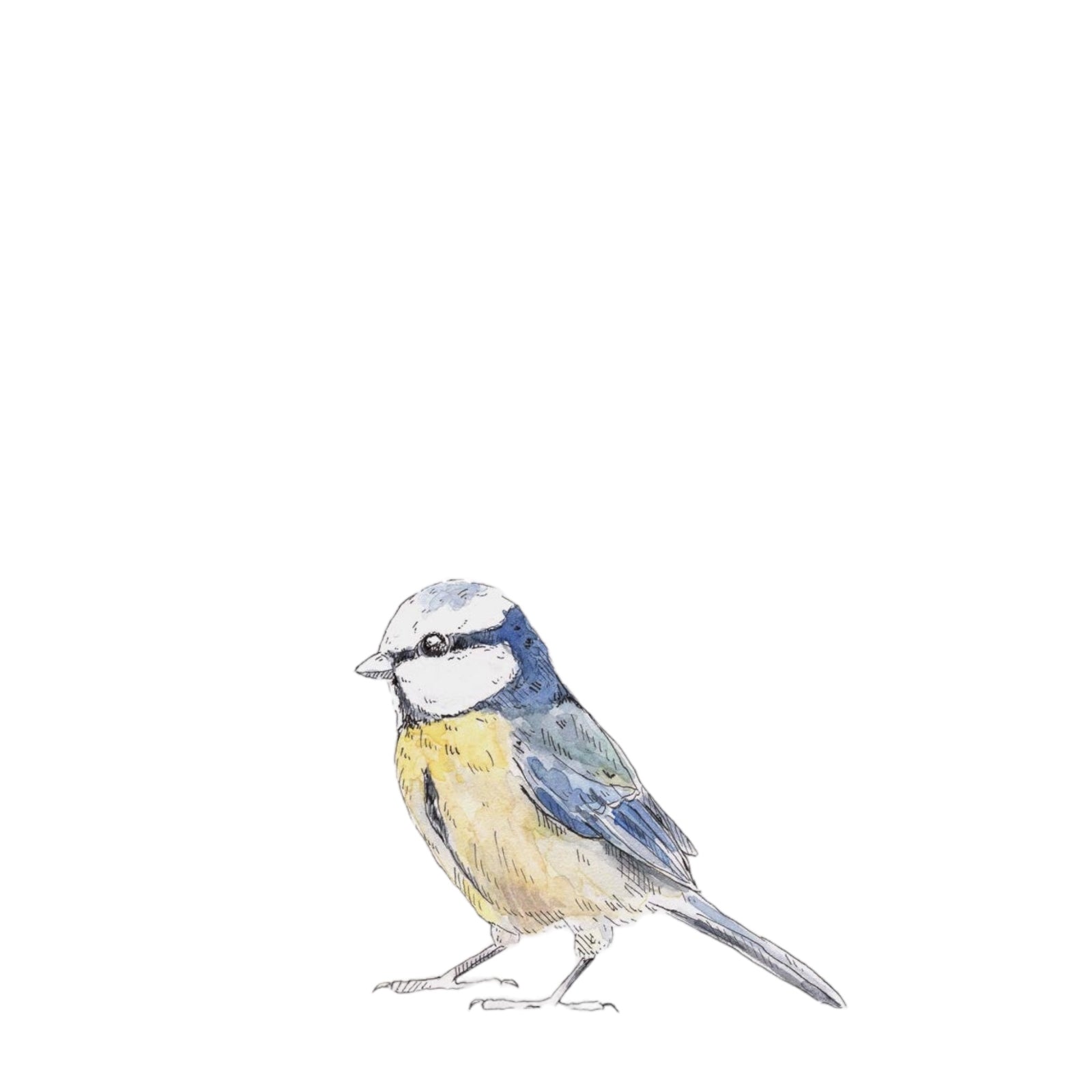 Wandsticker BLAUMEISE