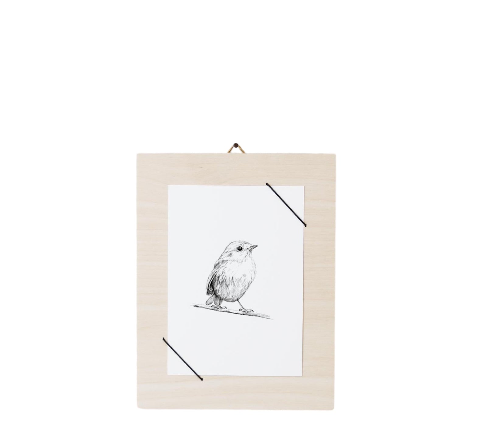 Postkarte ROBIN | Schwarz-weiss