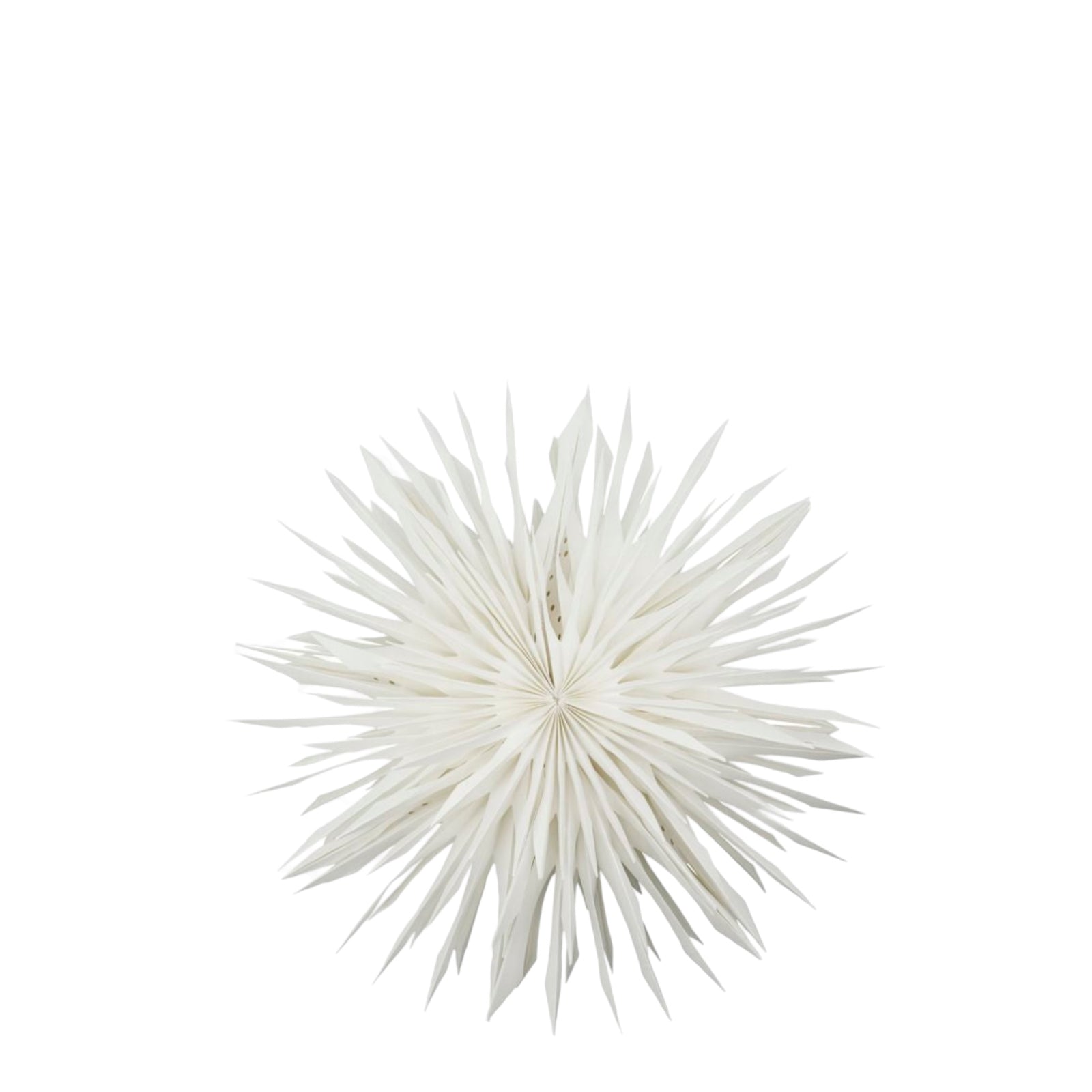 Stern REEF | Ø: 50cm