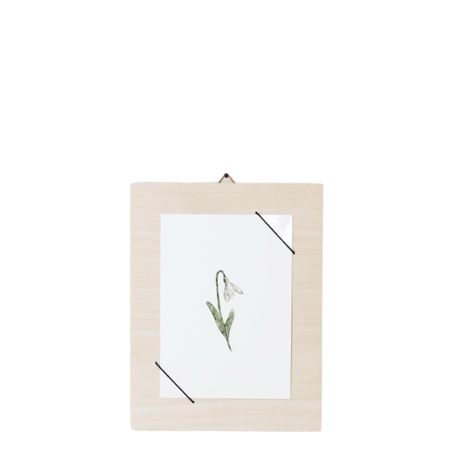 Postkarte SNOWDROP