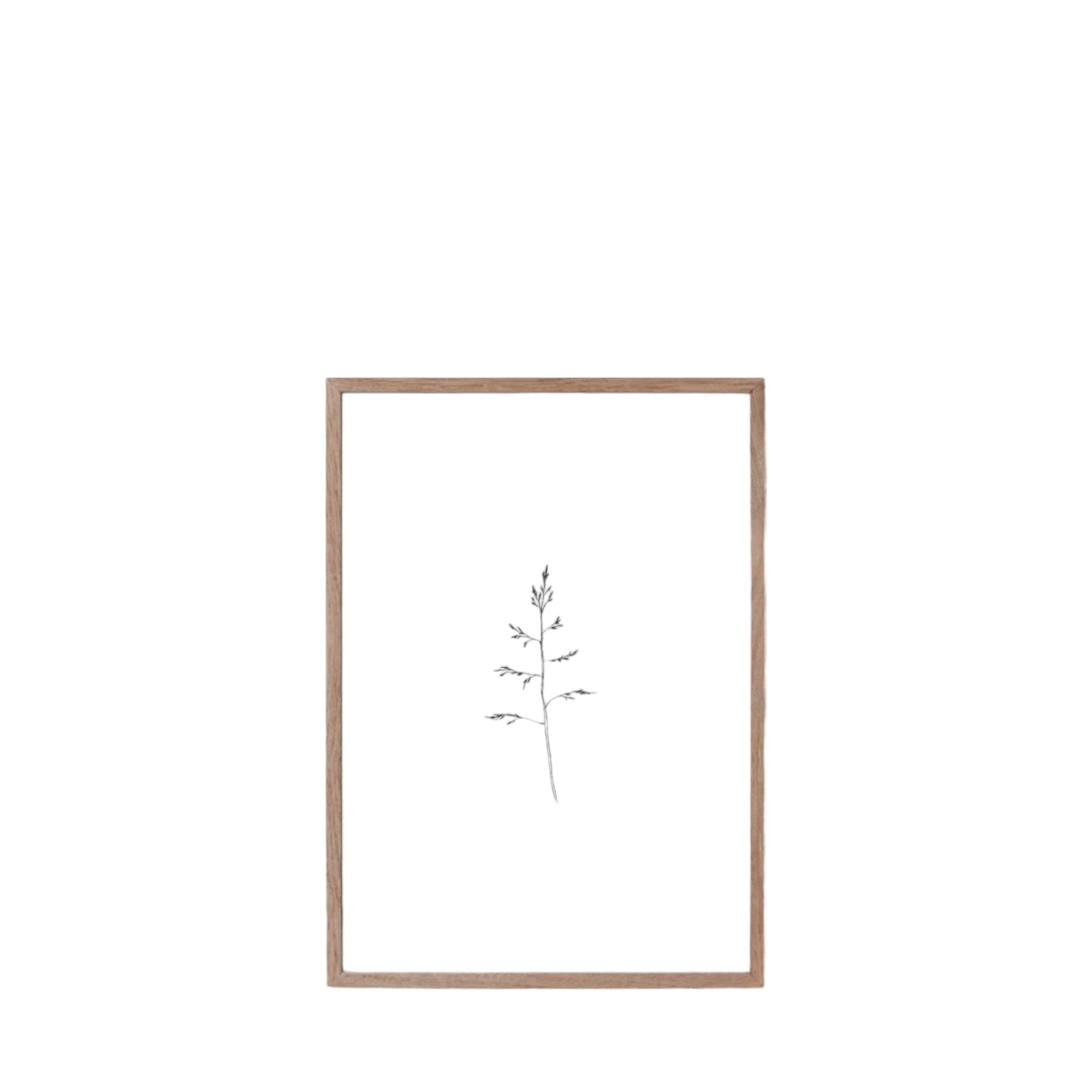 Poster GRAS | A4- 50%