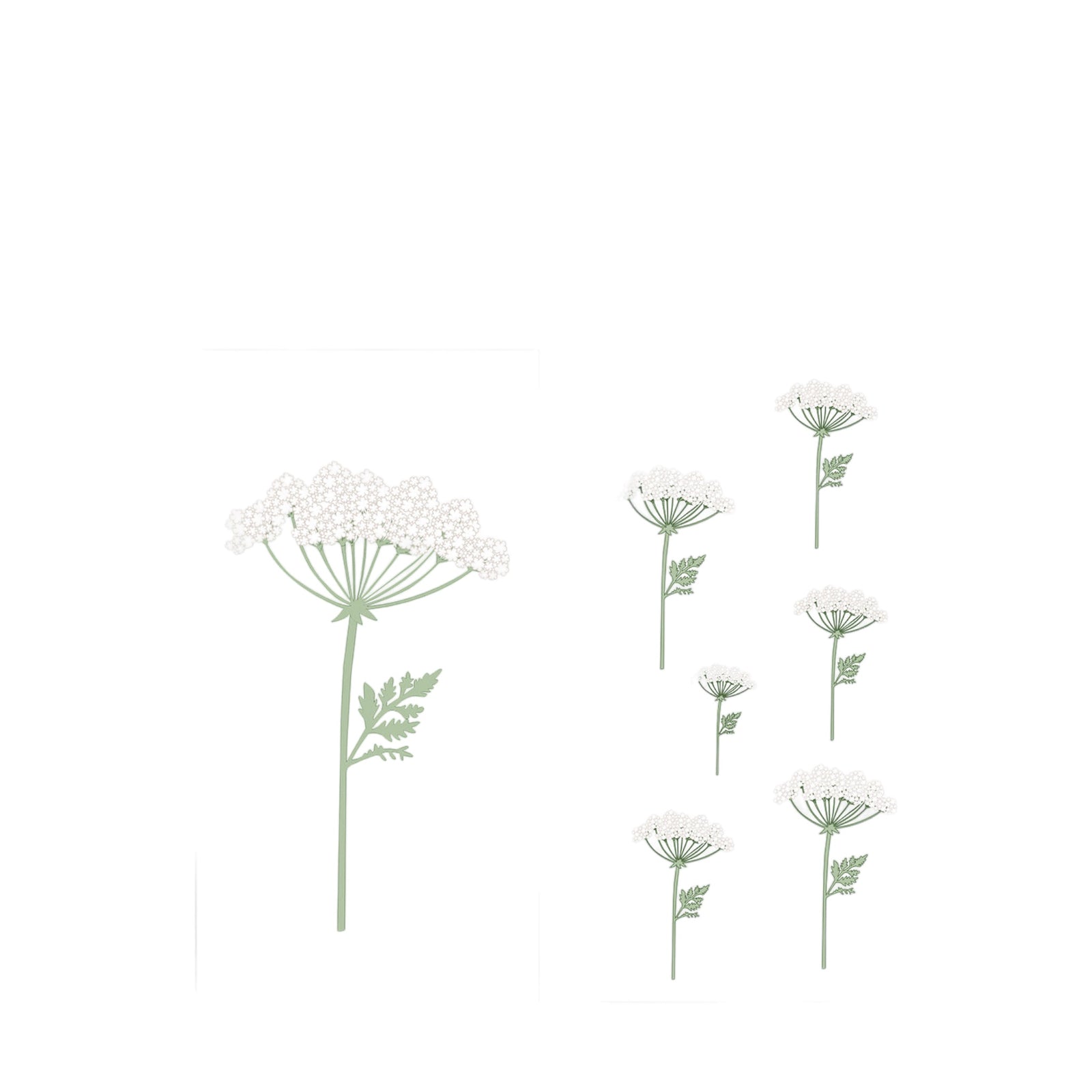 Streichholzschachtel WIESENKERBEL XL