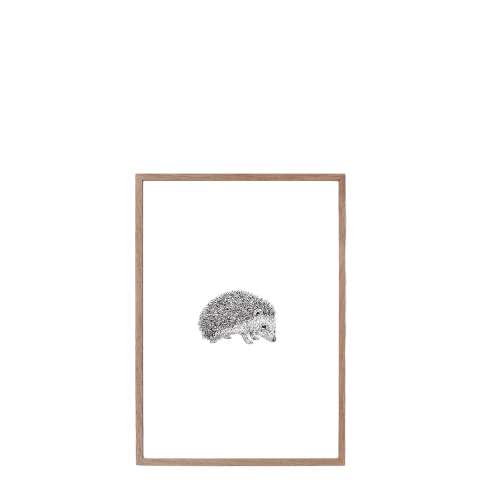 Poster IGEL | A4