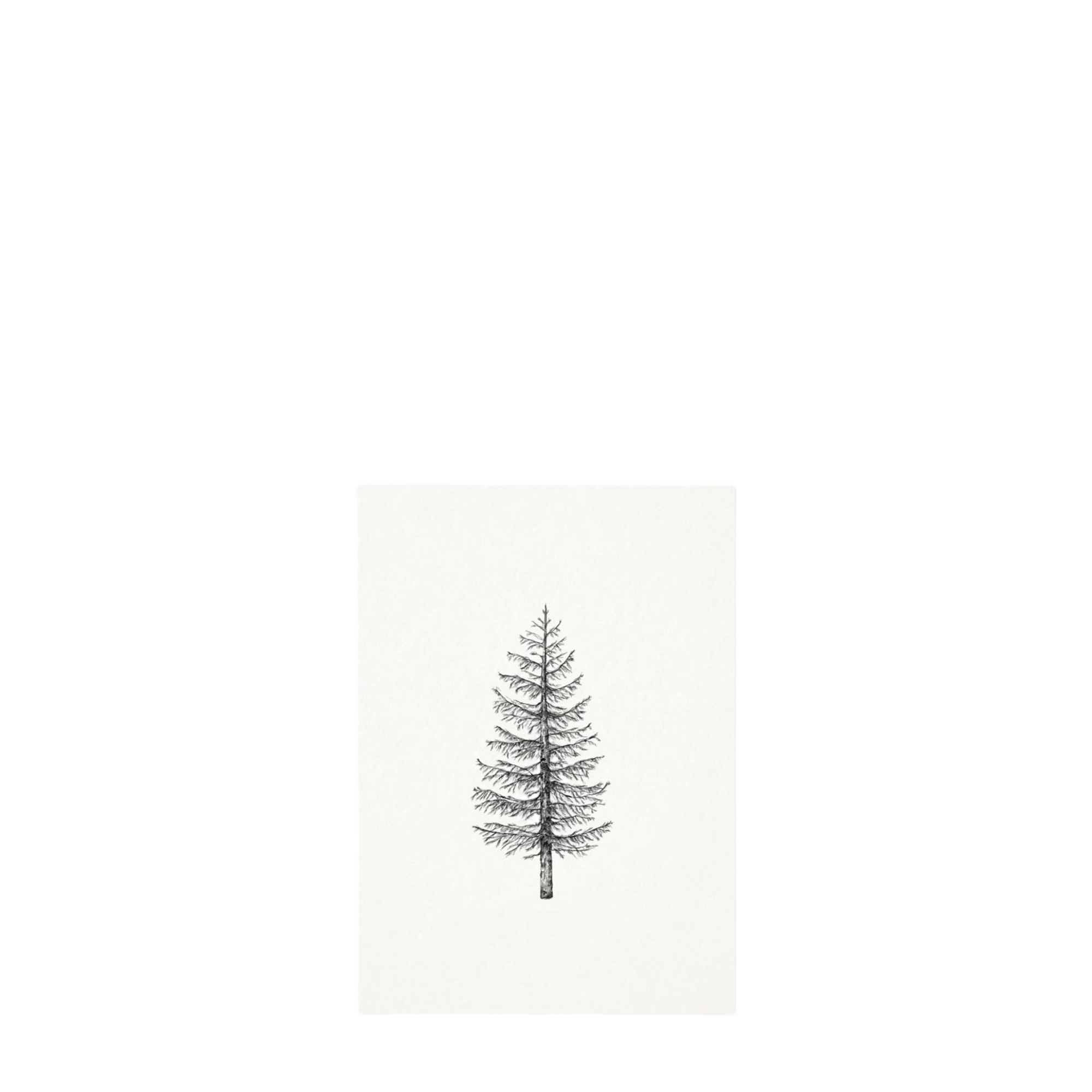 Postkarte PINE TREE