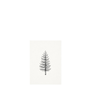 Postkarte PINE TREE