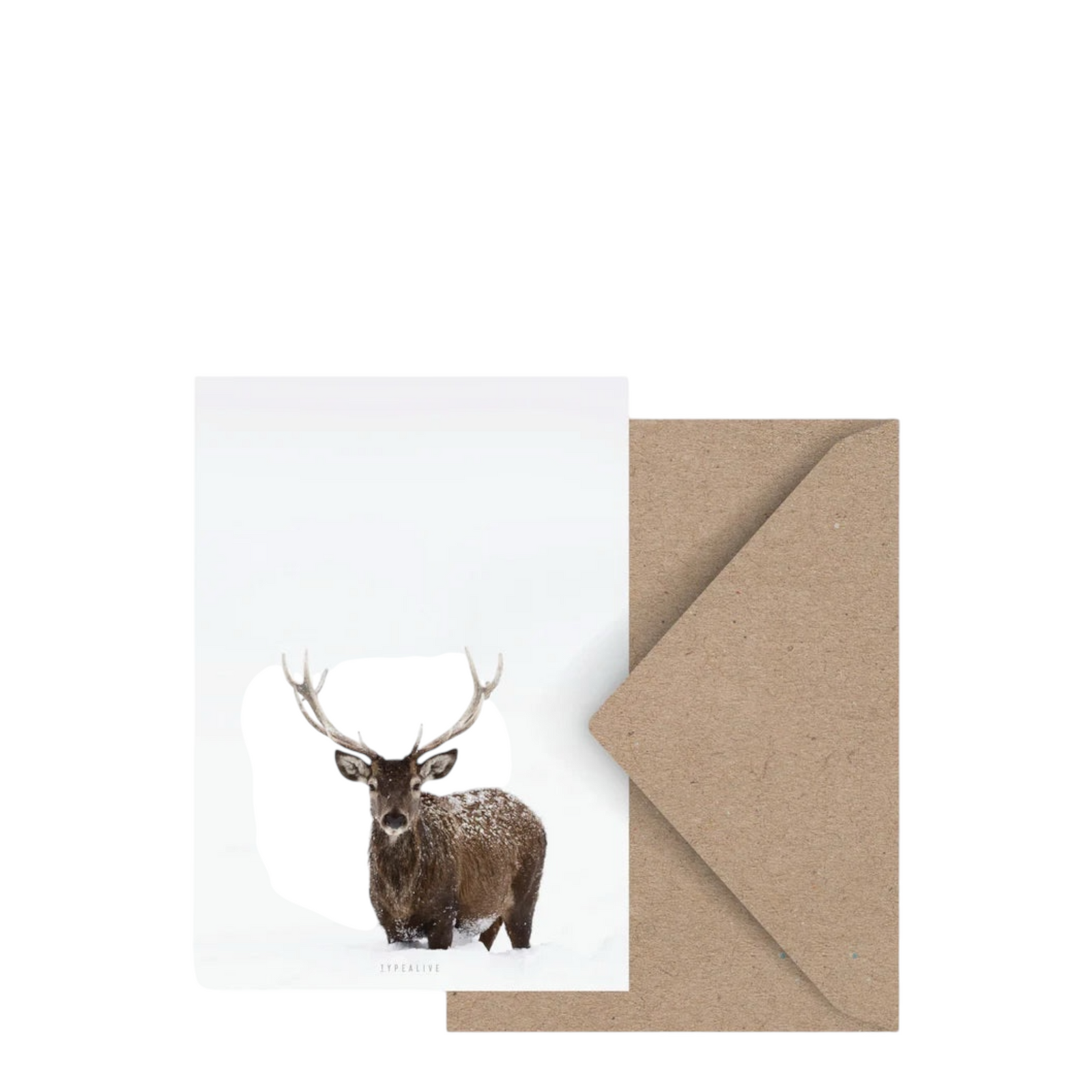 Postkarte DEER