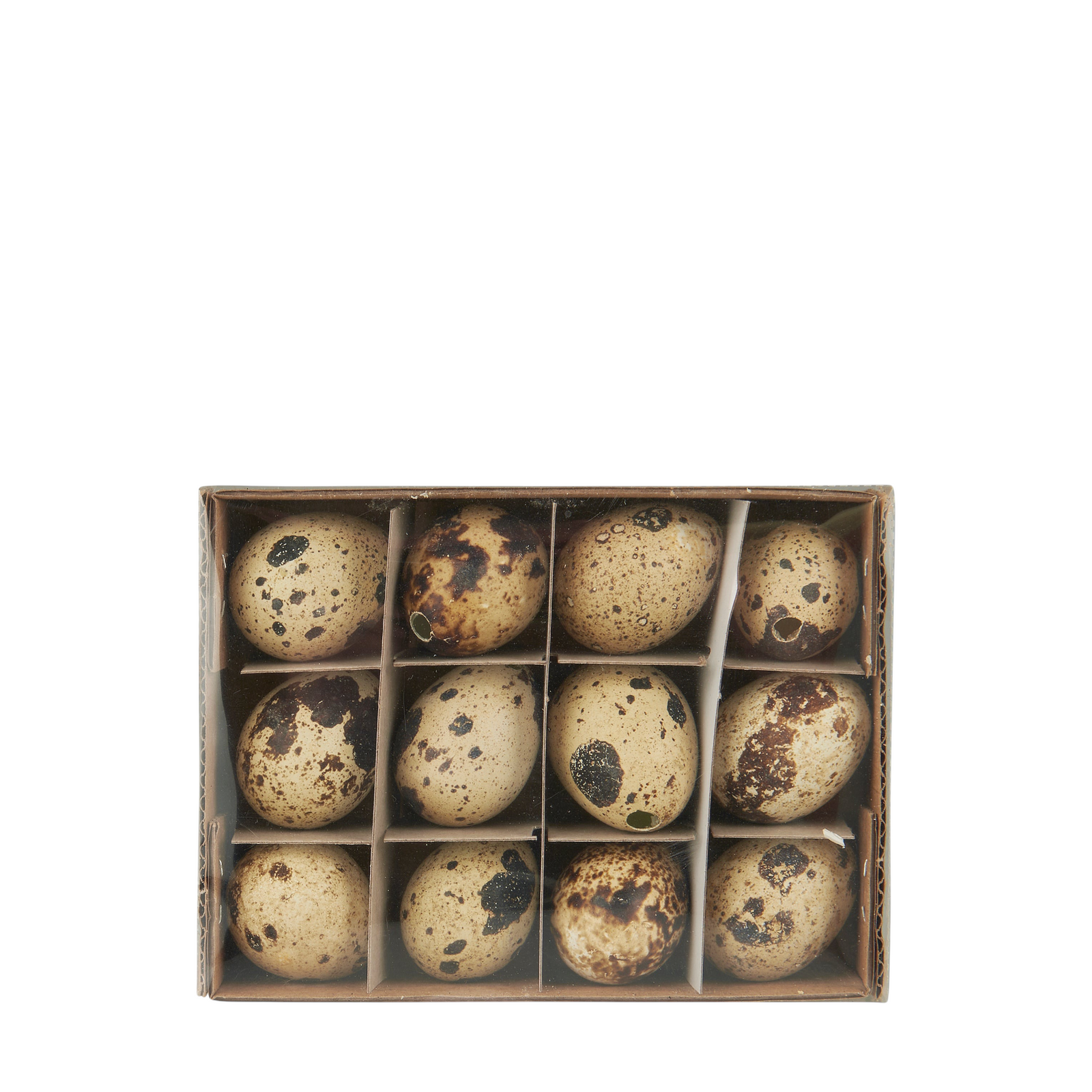 Wachteleier NATUR | 12 Stück