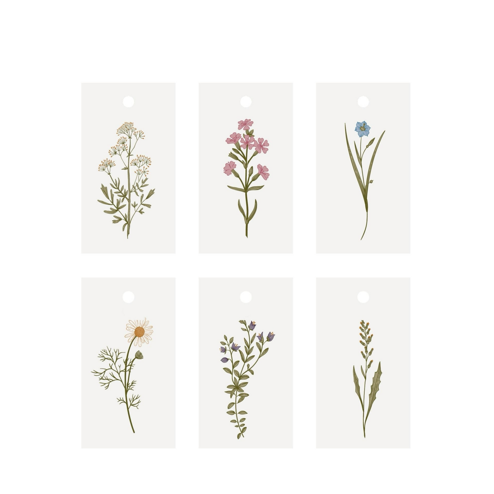 Geschenkanhänger BOTANIC | 12 Stk. assortiert