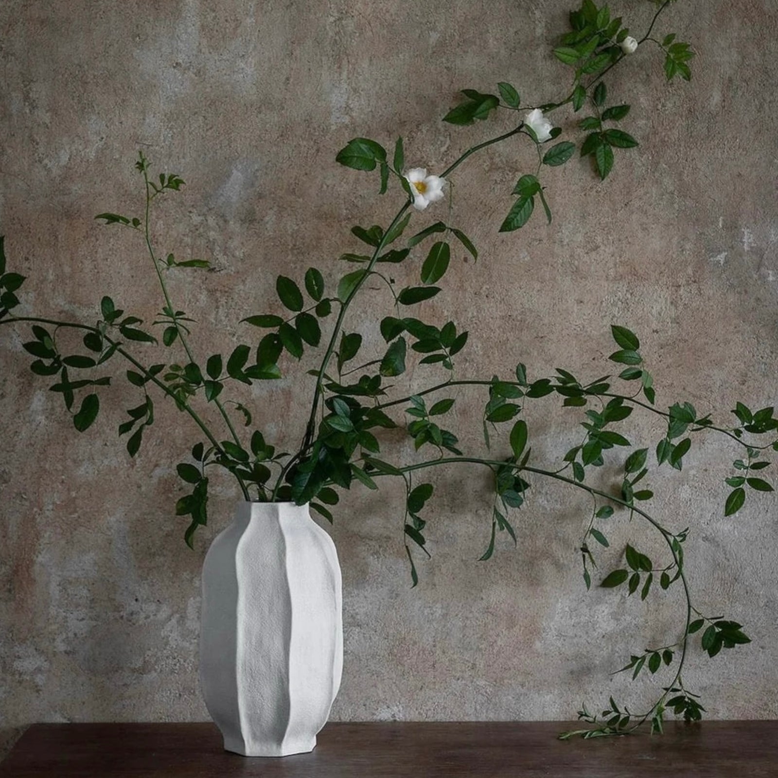 KORALLENVASE | Naturweiss 22 cm