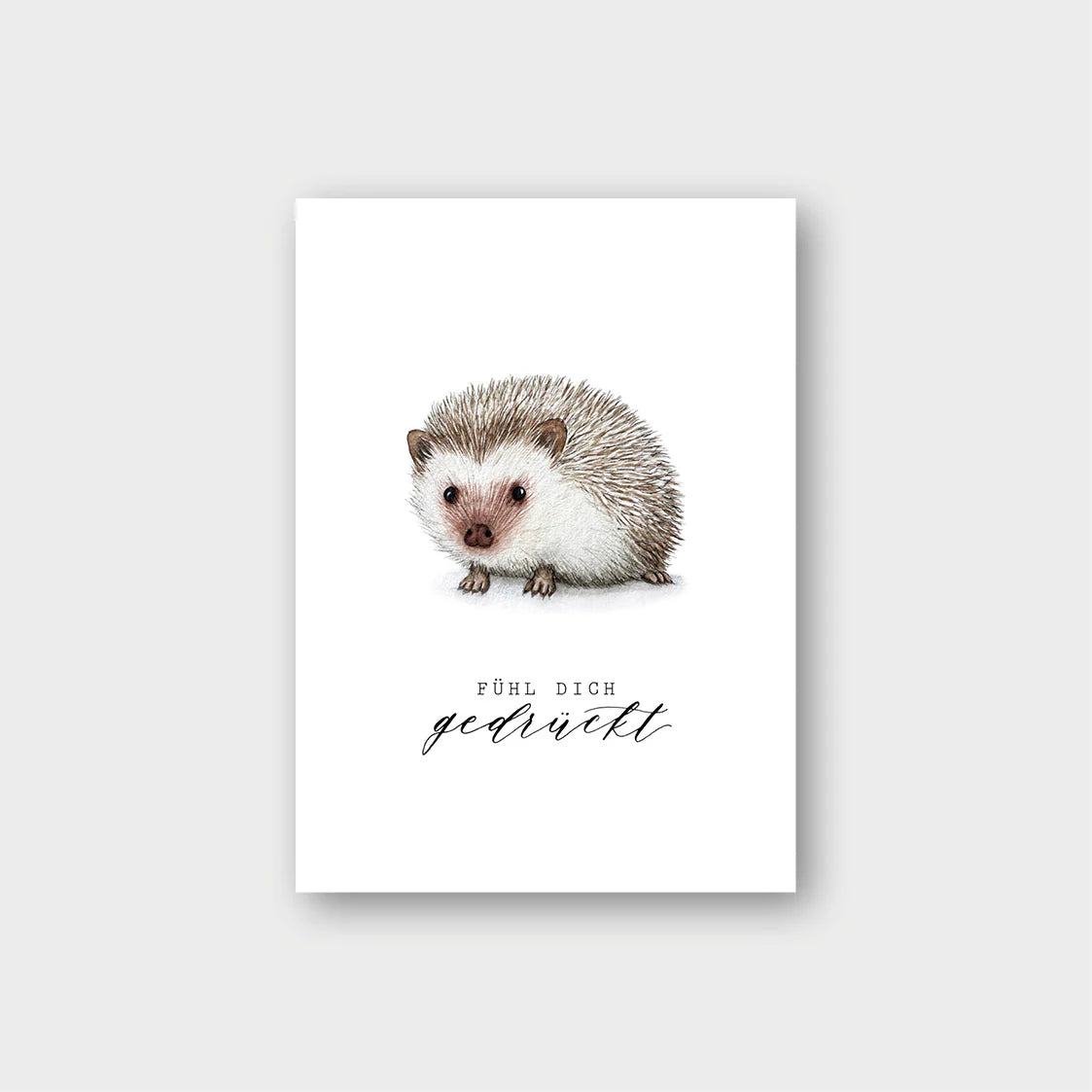Postkarte IGEL