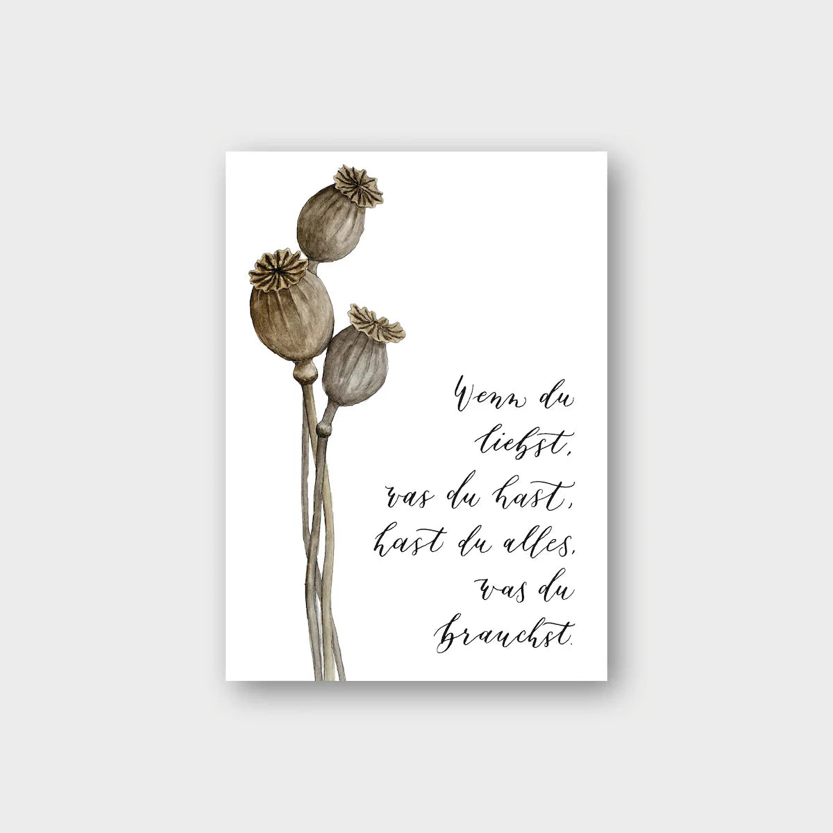 Postkarte MOHNKAPSELN