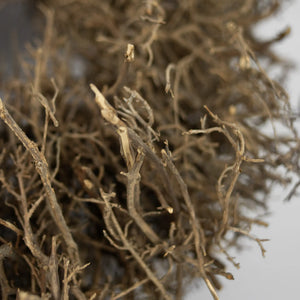 Kranz WOOD