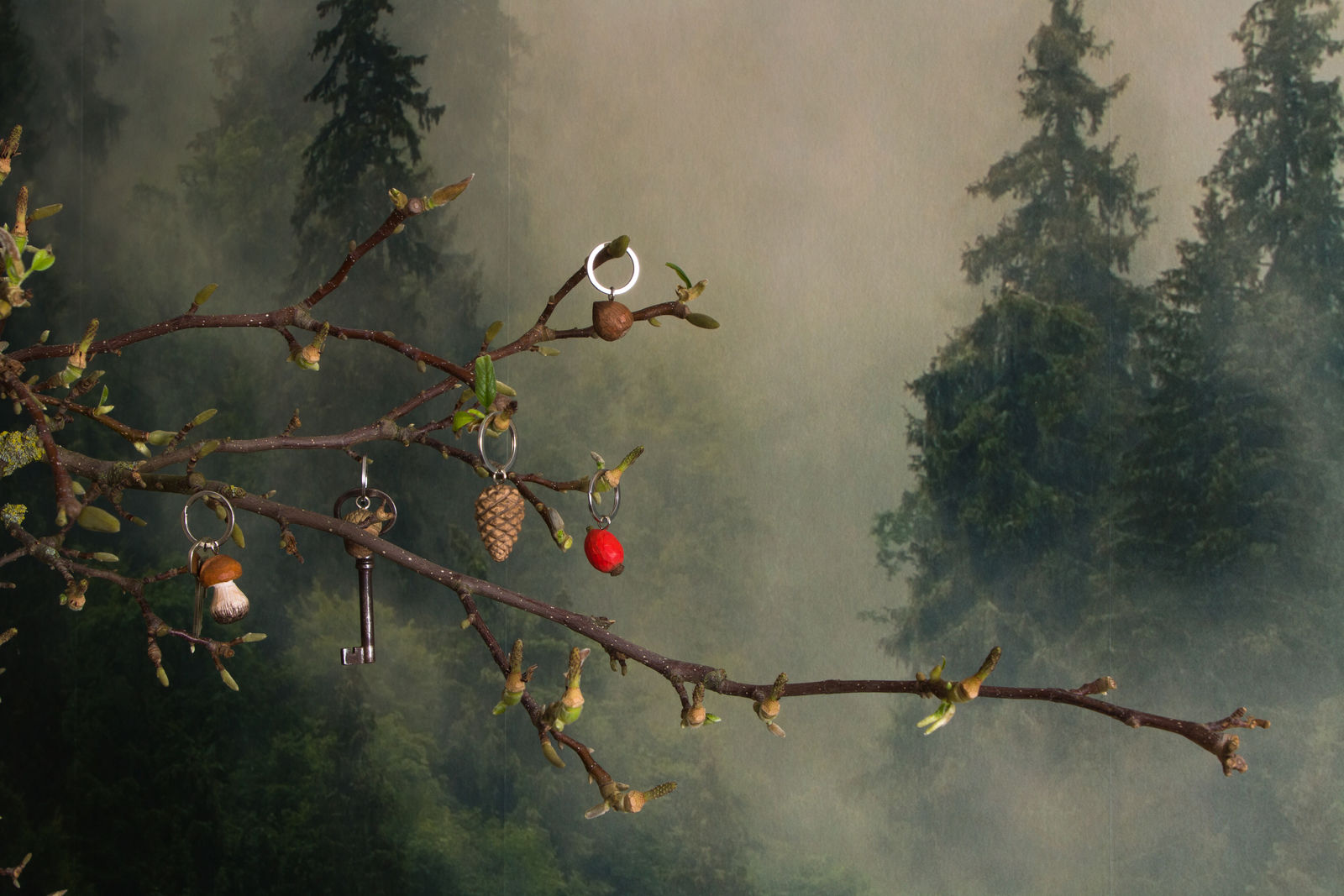 Schlüsselanhänger HAGEBUTTE