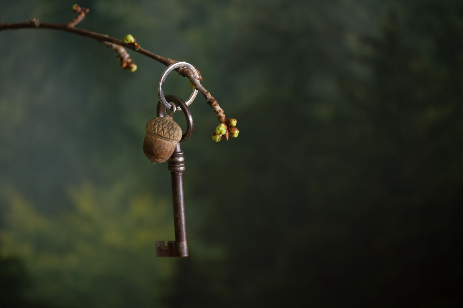 Schlüsselanhänger EICHEL