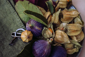 Schlüsselanhänger PHYSALIS