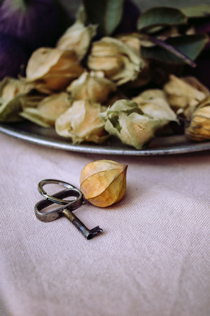 Schlüsselanhänger PHYSALIS