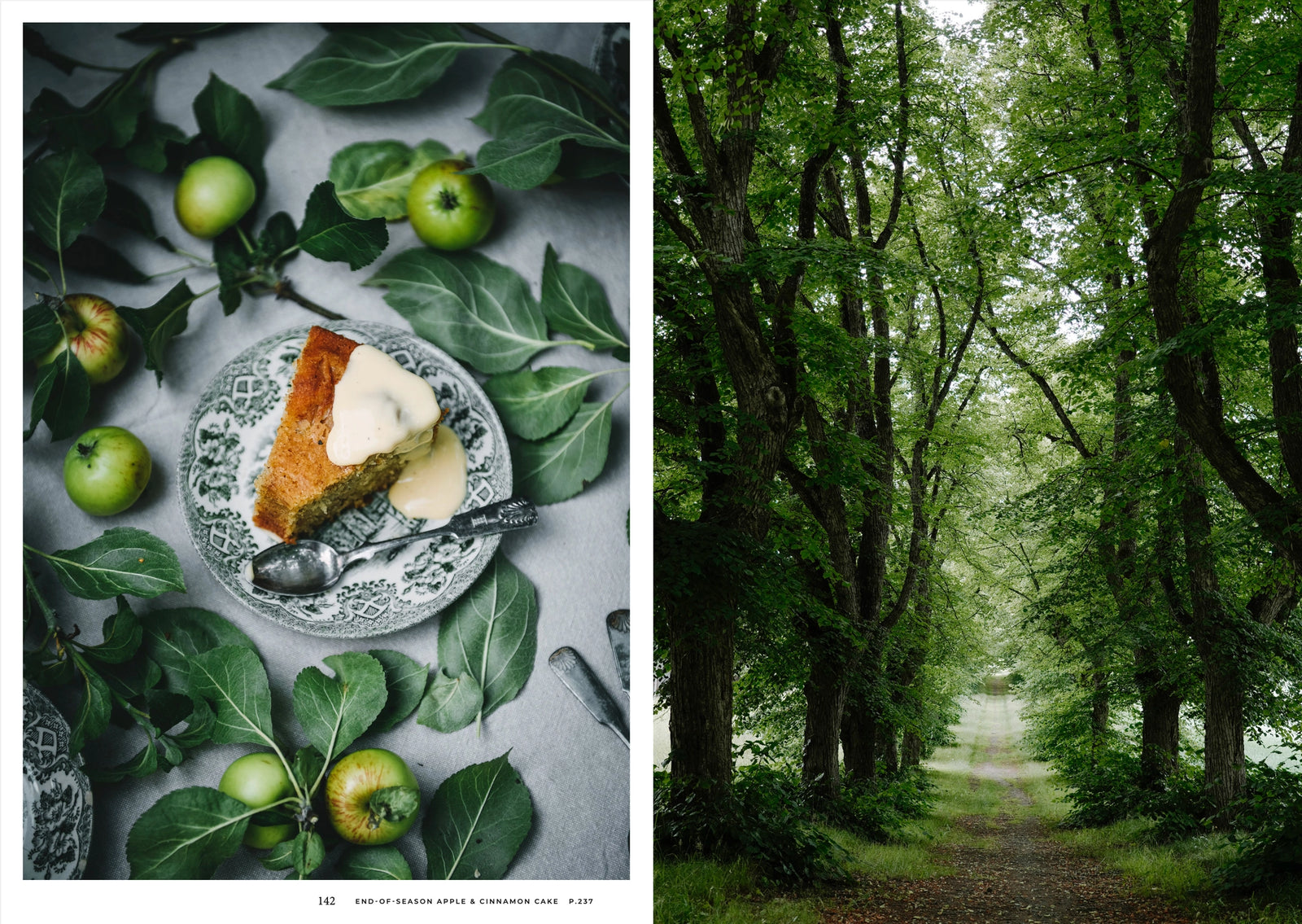 Buch | NORDIC SUMMER