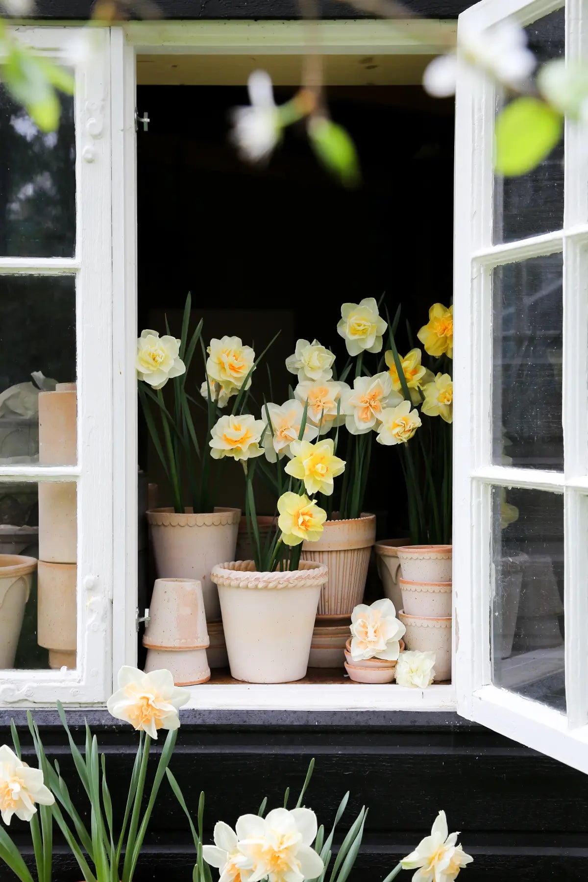 Blumentopf mit Unterteller Københavner | Rosa Ø: 14 cm