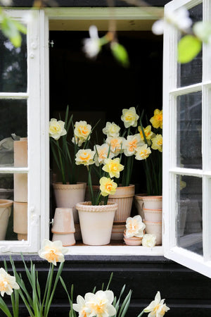 Blumentopf mit Unterteller Københavner | Rosa Ø: 14 cm