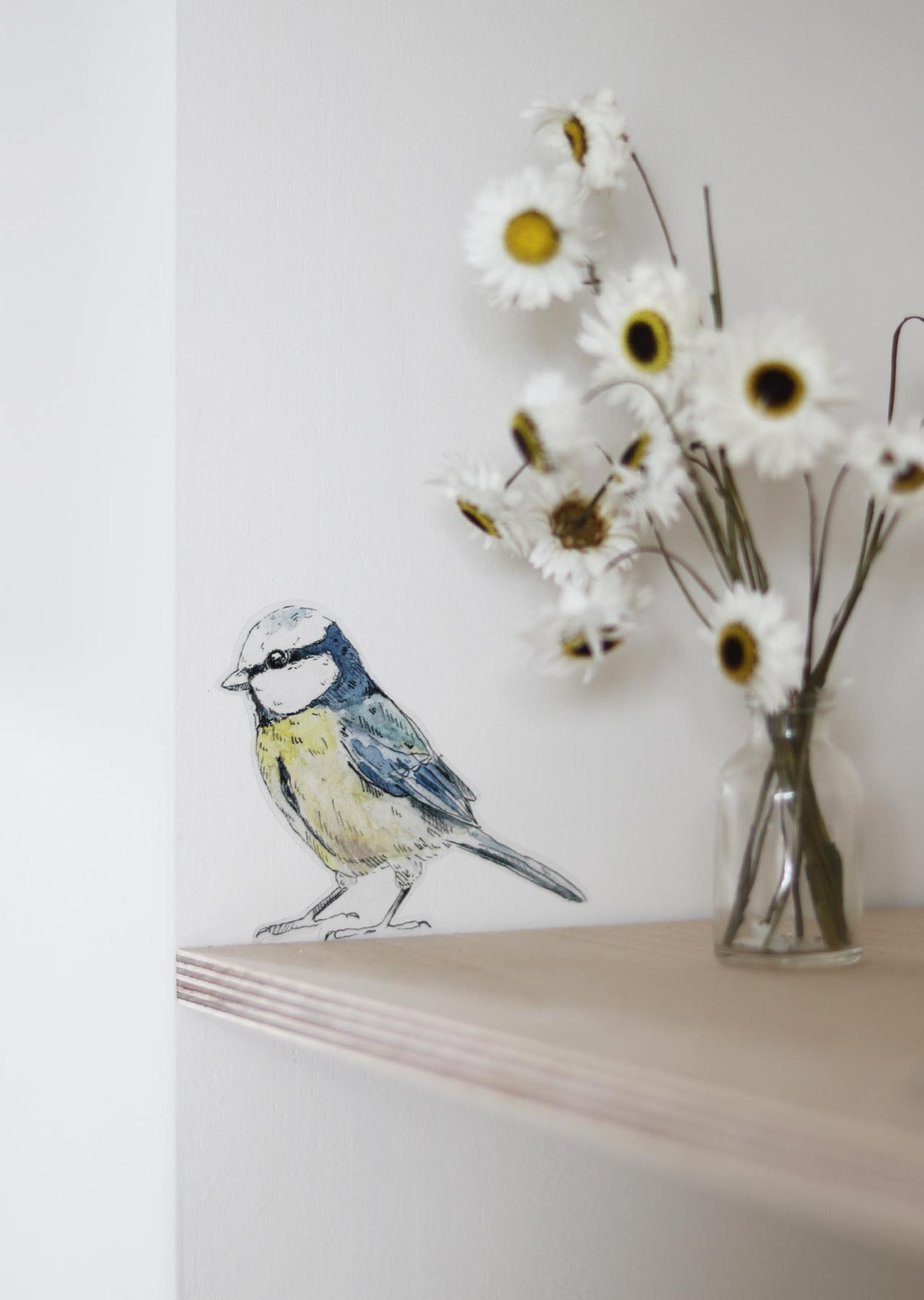 Wandsticker BLAUMEISE