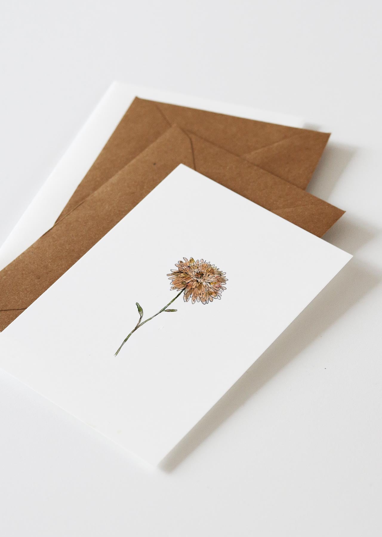 Postkarte CHRYSANTHEMA