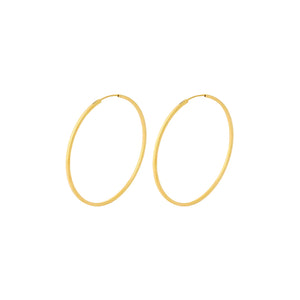 Creolen ORBIT HOOPS | Gold 50 mm