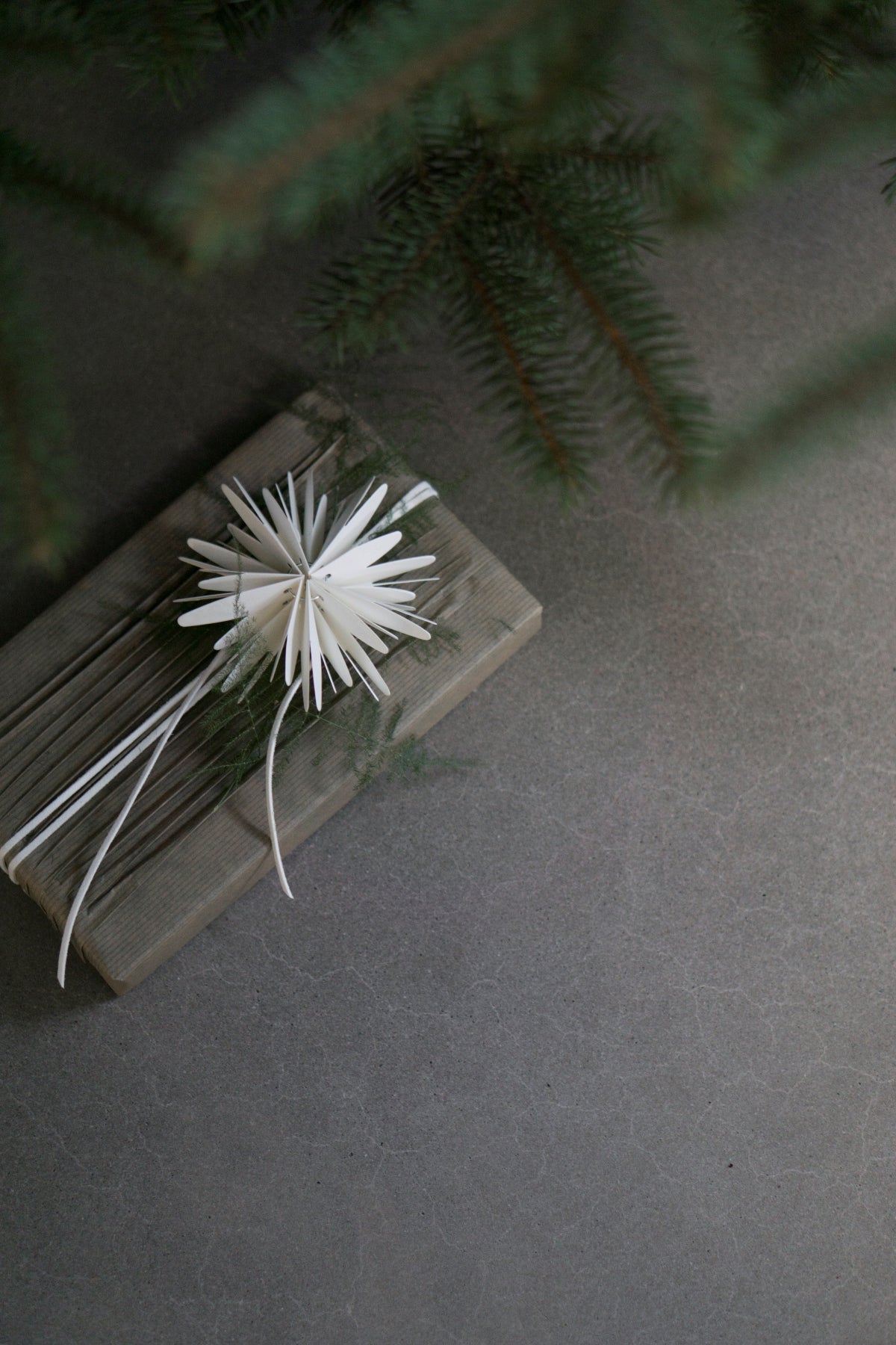 Papierstern FLAKE | Ø: 10 cm