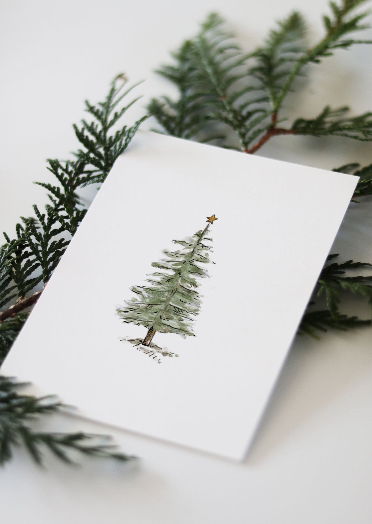 Postkarte TANNENBAUM