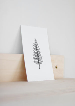 Postkarte PINE TREE