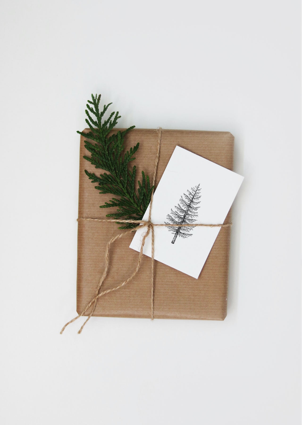 Postkarte PINE TREE