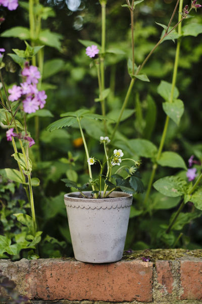 Blumentopf mit Unterteller Helena | Grau Ø: 16 cm