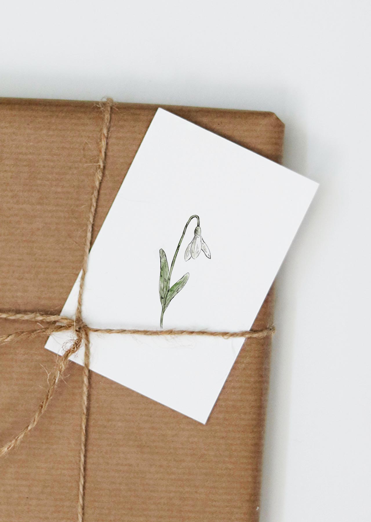 Postkarte SNOWDROP