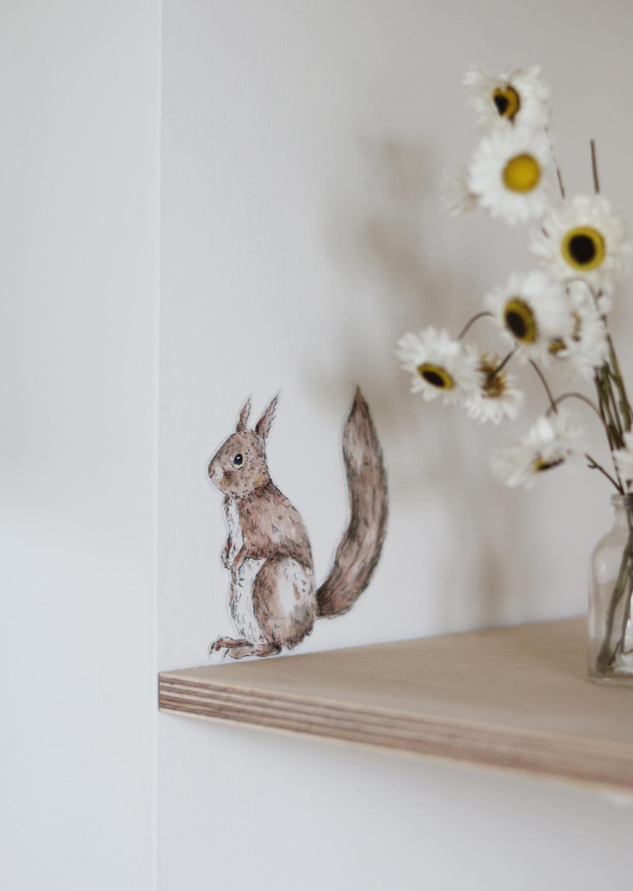 Wandsticker EICHHÖRNCHEN