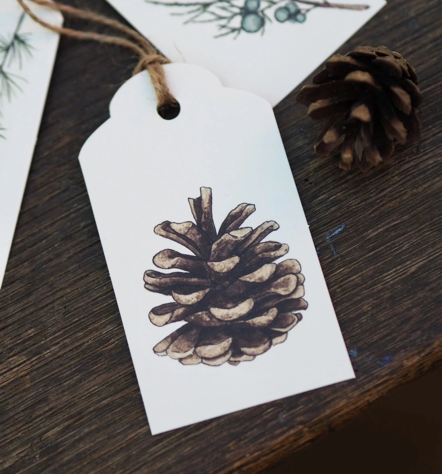 Geschenkanhänger TANNENZAPFEN